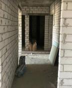 новостройка, Харьков, Холодная Гора