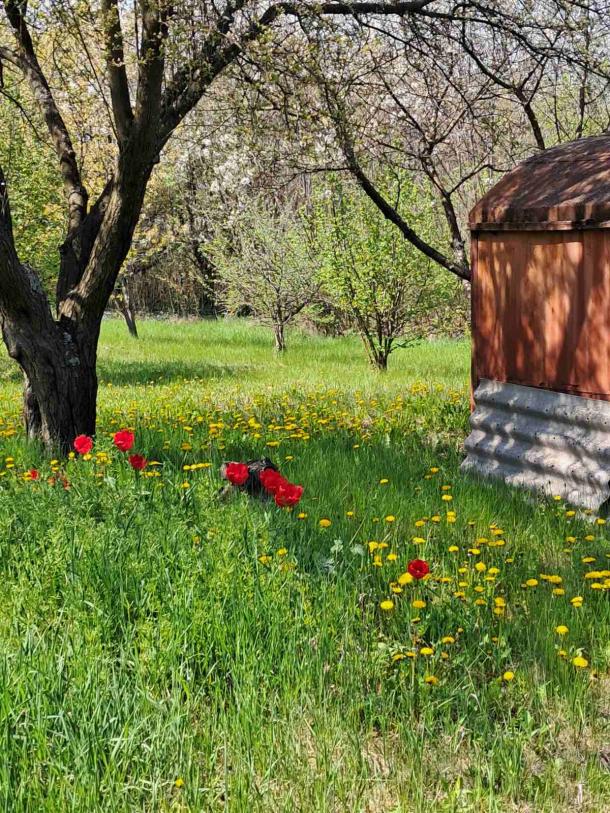 Участок, Харьков, Песочин, Леси Украинки (Совхозная,Ворошилова)