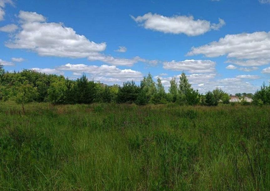 Участок, Безлюдовка, Харьковский район, Сковороды