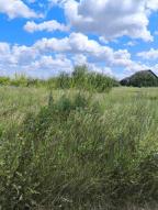 участок 15 сот., Рай-Оленовка, Харьковская область