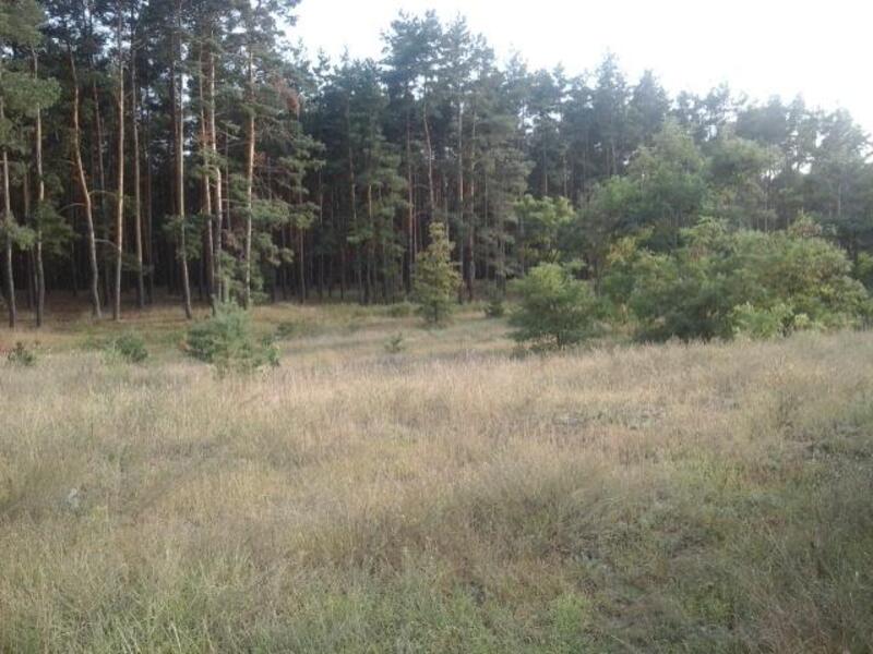 Участок, Змиев, Змиевской район, Левковская