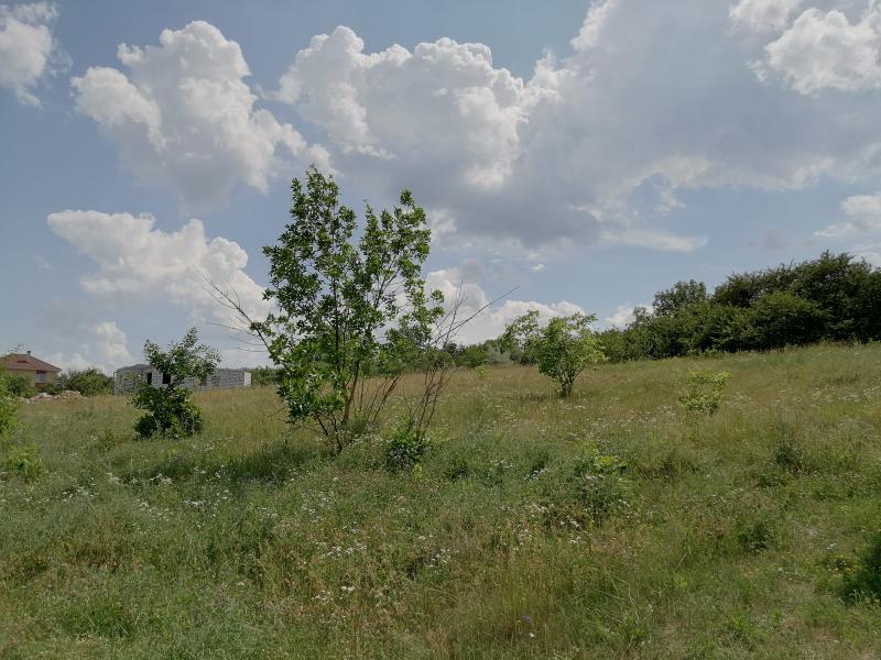 Участок, Харьков, Песочин, Культуры (Калинина, Свердлова, Советская Советский 3 пер.)