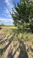 участок 21 сот., Харьков, Докучаевское
